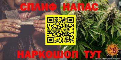 apvp Ирбит