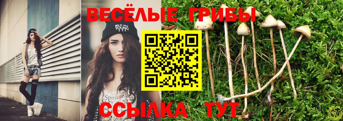 Галлюциногенные грибы Psilocybine cubensis Кумертау